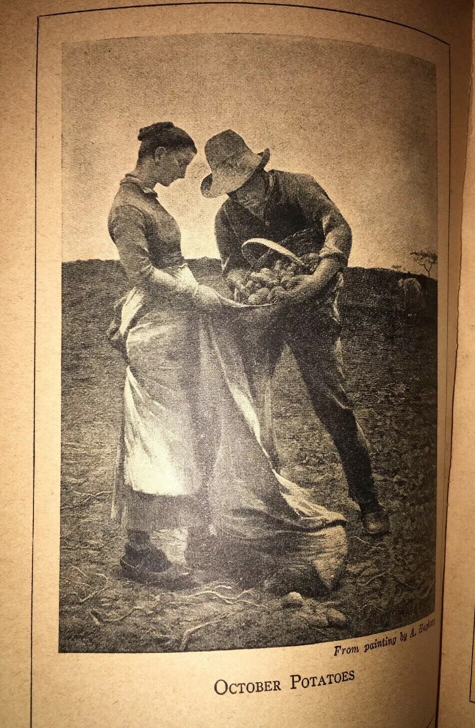 1921 FIRST Edition "The Science of Food and Cookery" by H.S. Anderson