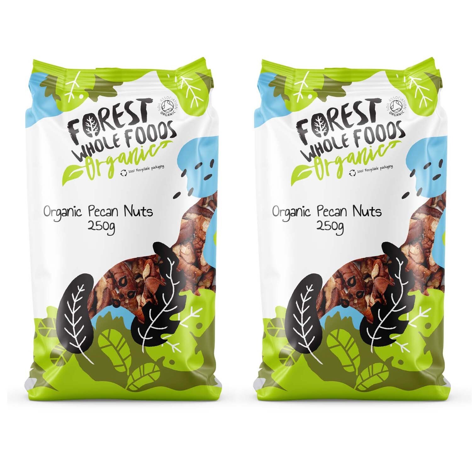 Organic Raw Pecan Nut 500g - Forest Whole Foods