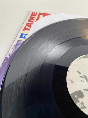 Take Yourself Housebroken Dance Mixes 1991 Rhino Promo 12" Vintage Vinyl Record - Picture 7 of 10