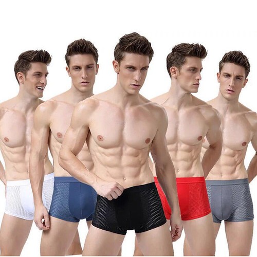 Men's Sexy Mesh Breathable Underwear Boxer Briefs Trunks Underpants Panties