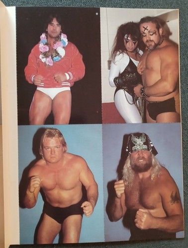 💥1️⃣9️⃣8️⃣5️⃣ All Star Wrestling Postcard Book WWF Vintage Postcards Hogan RC - Picture 9 of 12