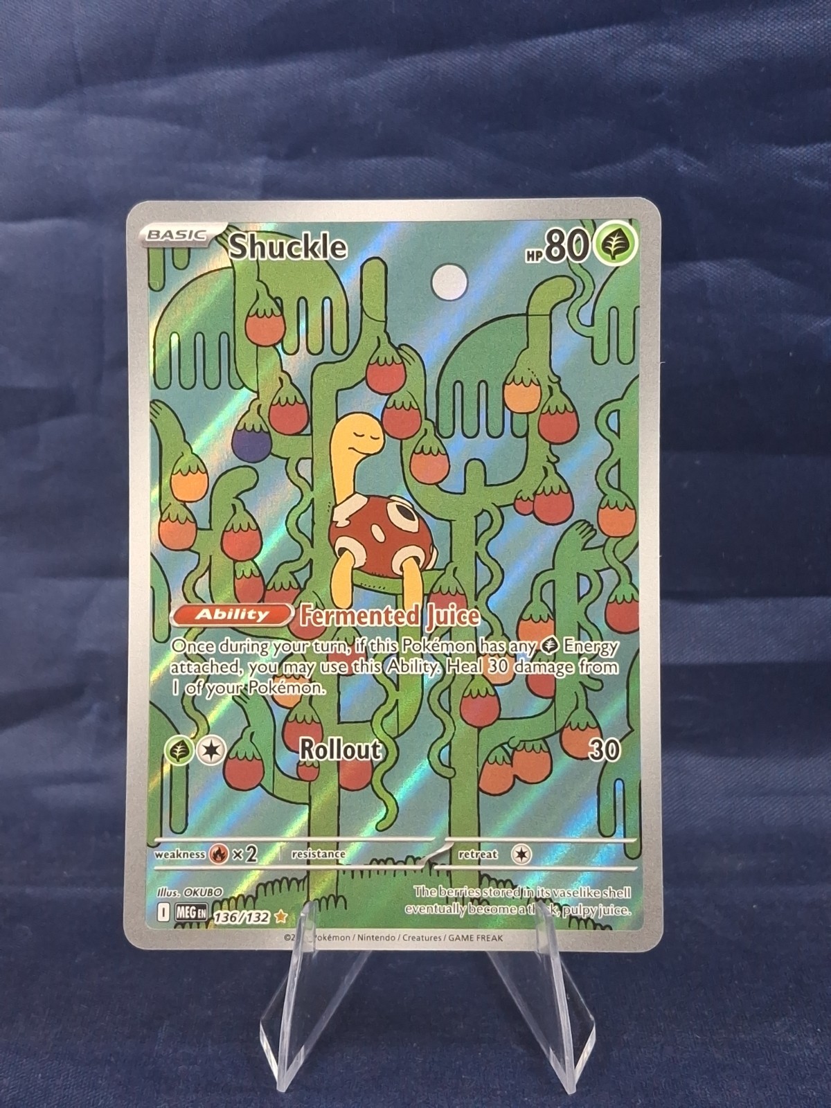 Pokemon TCG Shuckle Illustration Rare ME01: Mega Evolution 136/132 NM