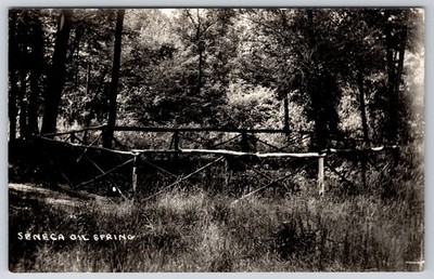 RPPC NY Cuba Seneca Oil Spring Real Photo Postcard