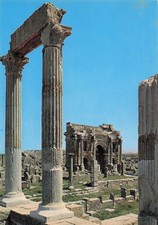 ALGERIA TIMGAD THE COLUMNS OF THE TEMPLE OF GENIUS AND THE ARC OF T