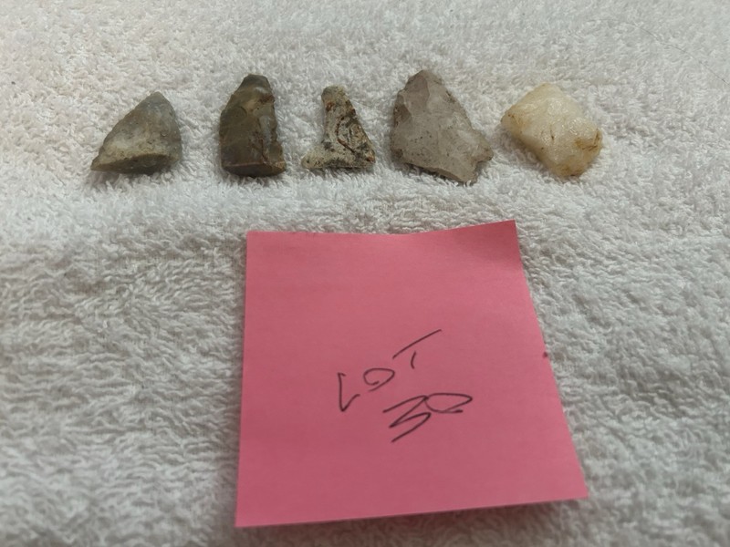 Lot Of 5 Authentic Native American Indian Arrowheads
