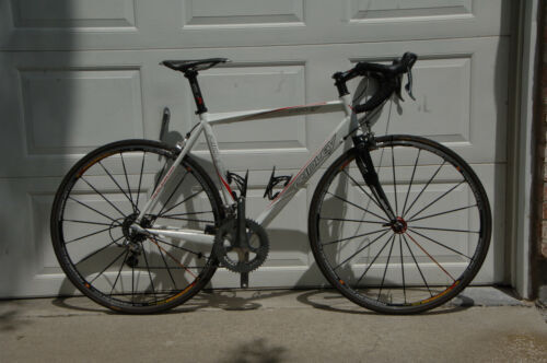 Ridley Excalibur Flandrien Frameset Year Unknown | eBay