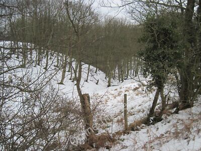 Foto 12x8 Down into Howlgate Slack Levisham c2012