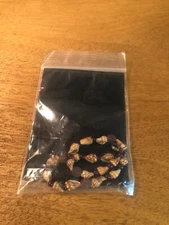 9" Ankle Bracelet Shells Hawaii Brown Beauitful