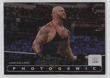 2024 Panini Photogenic WWE Silver 34/99 Luke Gallows #91 19fe