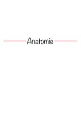 Lernzettel Anatomie - Pflegeausbildung