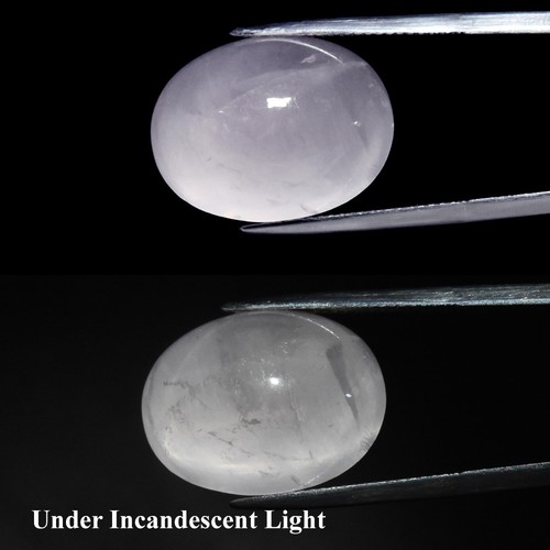 💎 25.30ct Oval Natural Light Pink 6 Ray Star Rose Quartz - Untreated, Gemstone