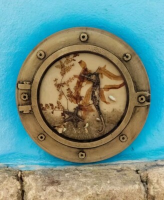 Vtg 1970s Lucite Trivet Porthole Sealife Starfish Shells & Kelp MCM 5.25''W EC 