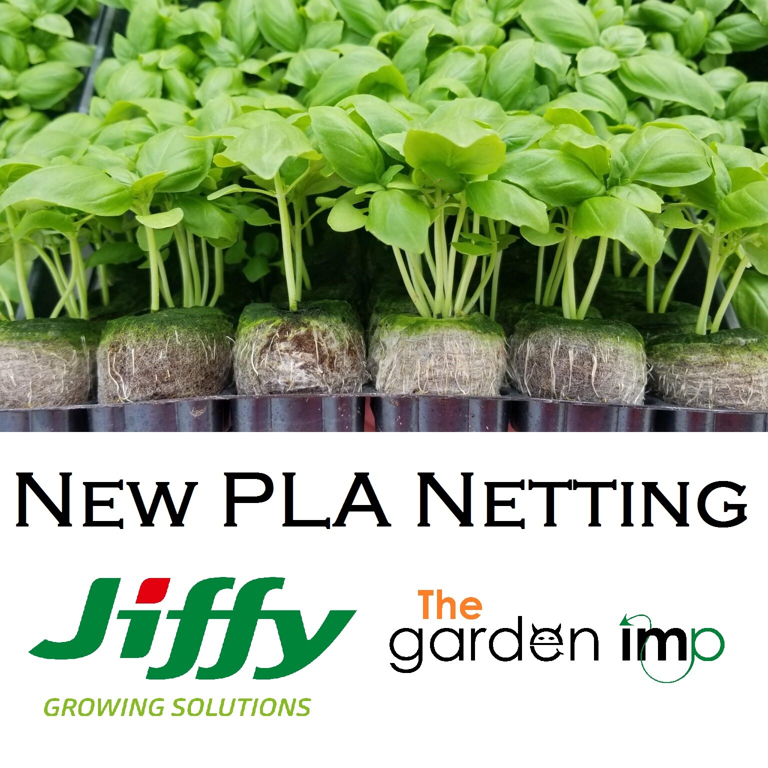 Jiffy 7C Pellets Coir Coco Peat Free Plug Seeds Hydroponic Organic 25mm