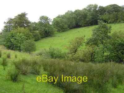 Foto 6x4 Eden Hill Plumbridge Plumb Bridge Blick nach Nordosten c2006