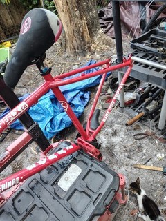 survivor 2010 fbm RCT custom shop frame factory disc brake no cracks