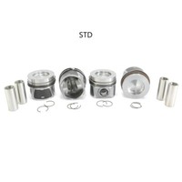 Kolbensatz STD (79,51 Mm) FüR VW Audi 1.6 TDI CAY 03L107065J