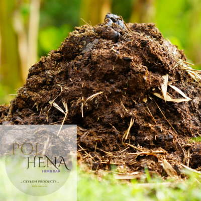 Dried Cow Dung Organic Manure Animal Dung Natural Fertilizing Cattle Manure  | eBay