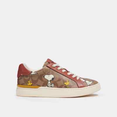 NWB Coach X Peanuts Clip Low Top Sneaker Canvas With Snoopy