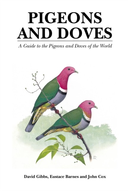 Pigeons and Doves by David Gibbs (Hardback Book)