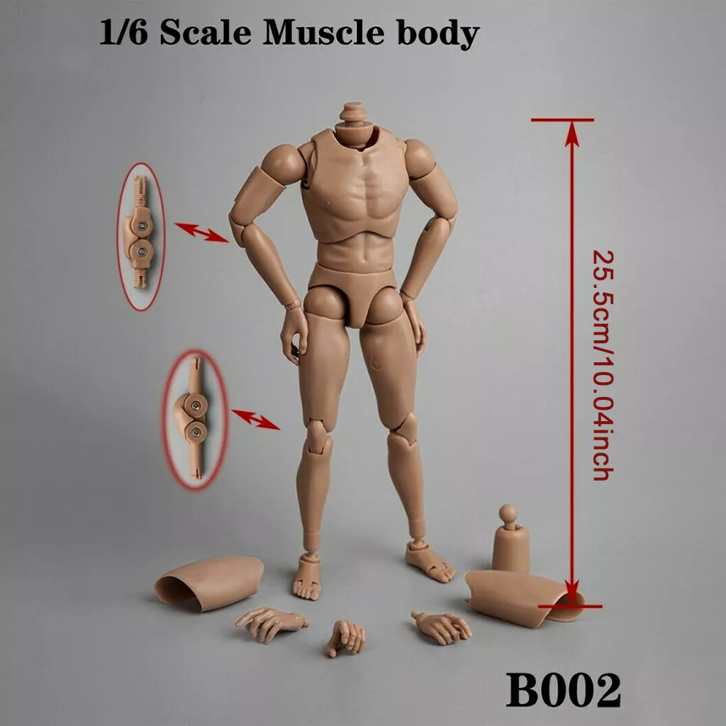 1 6 Scale Muscular Male Action Figure Body For 12