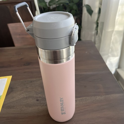 #ad Stanley Quick Flip Go Water Bottle Blush 24oz Stainless Steel $15.00