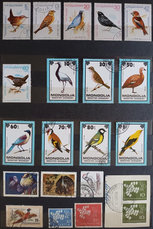 RARE AND EXOTIC BIRDS. 65 STAMPS (8 FULL ISSUES) + 2 BLOCK. LOT IN GERMANY