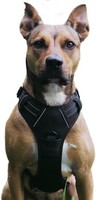 Hundegeschirr Verstellbar Atmungsaktiv Reflektierend Gepolstert Schwarz 1 StüCk
