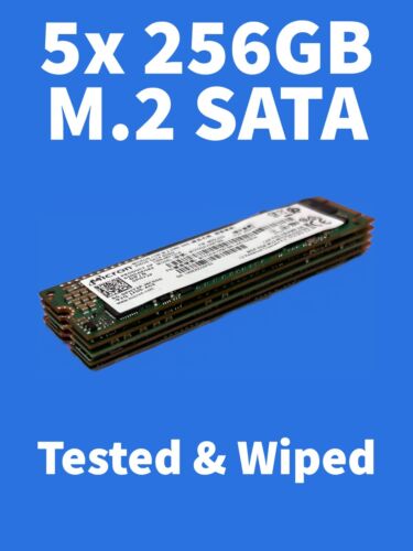 Lote a granel de 5 discos duros SSD M.2 SATA marcas mixtas 256 GB M.2 - discos duros PROBADOS - Imagen 1 de 3