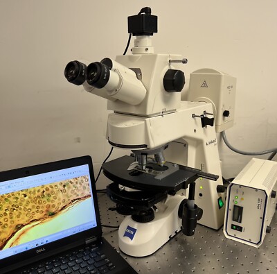 Zeiss Axioskop 2 Plus Microscope Fluorescence Phase Contrast Cam