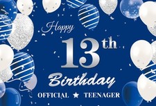 Official Teenager 13th Birthday Backdrop Banner, Silver Blue 13th Birthday Ph...