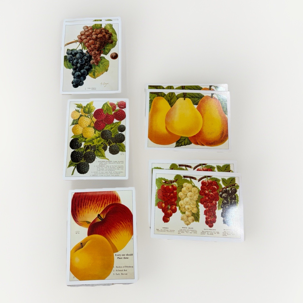 Purple Raspberry Poster Vintage Fruit Print Notecards Blank Set of 8 Smithsonian Recipes Cards ...