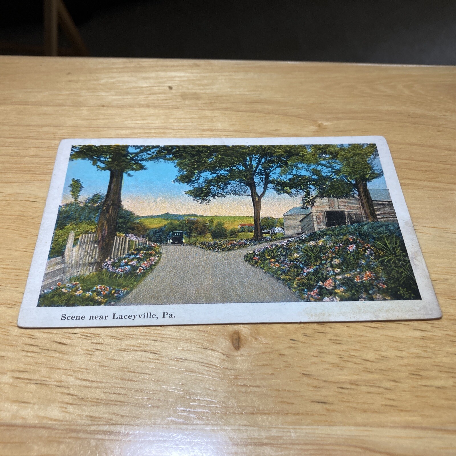 Acene Near Laceyville, PA eBay