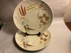 1950’s Red Wing Pottery MCM Random Harvest 10” Dinner Plate Oval 3 Pieces