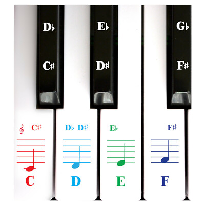 QMG Piano Stickers for Keys,Colorful Piano Keyboard Stickers for 49/61/76/88 Key