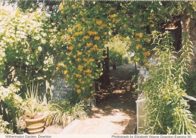 Postkarte Witherington Garden Downton bei Salisbury Wiltshire Meine Ref RM