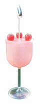 Audubon Woodlink Daiquiri Hummingbird 8 oz Pl...