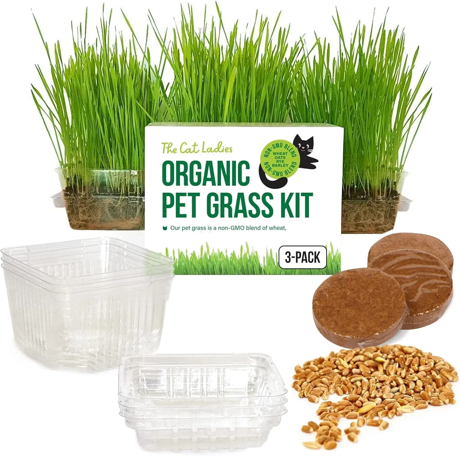 The Cat Ladies Cat Grass for Indoor Cats - Growing Kit - Organic Cat Grass Seeds