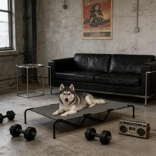 Large Elevated Dog Bed w/Breathable Mesh - Indoor Outdoor Use - Easy Assemble