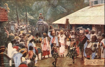 CEYLON SRI LANKA Natives at Play Ceylon LIPTON Tea Estate Antique Postcard