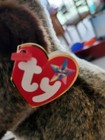 Beanie Buddy and Beanie Baby 'Cheeks' Orangutans With A Misprint. — photo 7