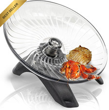 Hermit Crab Exercise Wheel - Silent Running Wheel for Crab Tank Accessories - Sm