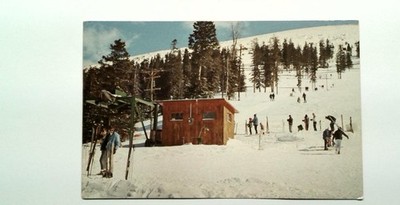 Vintage Berthoud Pass Ski Area Colorado Photochrome Postcard 1939+