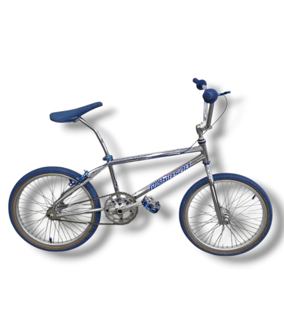 Vintage Robinson SST BMX Bike 1990s Old School Freestyle Survivor