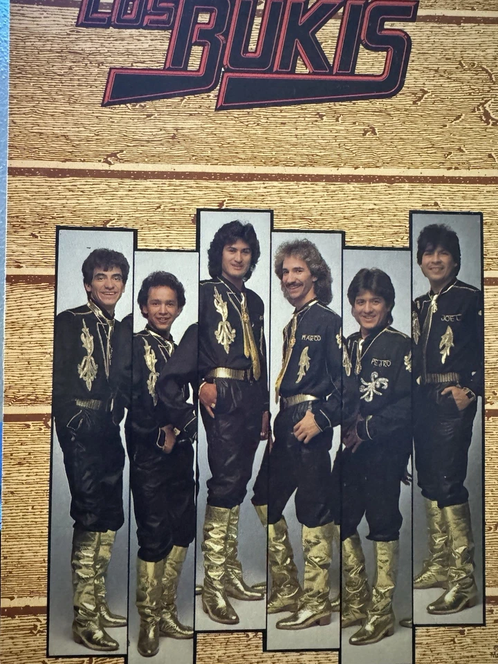 Los Bukis Vinyl LP 12 Exitos Norteños Foto 3 de 4