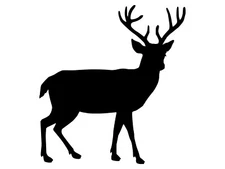 Deer Silhouette Buck Vinyl Decal Car Sticker Waterproof