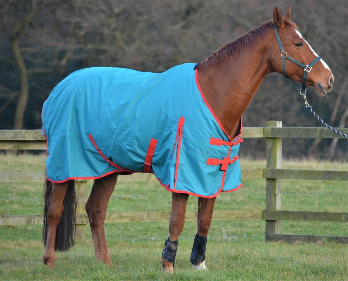 350g WEIDEDECKEN MINI/SHETLAND/PONY WASSERDICHT NEU BLAU/ROT