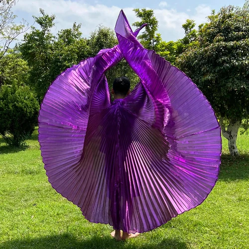 Transparent Belly Dance Wings Stage Performance Dancing Props - Picture 41 of 42