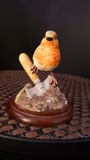 Border fine arts robin on garden trowel by David Walton M23 Free Delivery