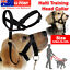thumbnail 14  - AU Dogalter Dog Halter Halti Training Head Collar Gentle Leader Harness Nylon