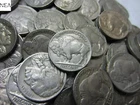 Full Date Buffalo Nickel Roll/Lot ~ Mixed Dates/Mints ~ 40 Coins